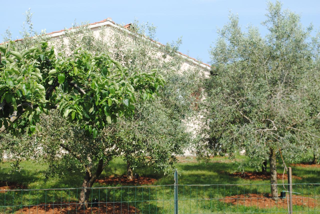 Holiday Home Ana Pula Bagian luar foto